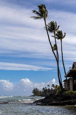 Honokōwai Beach - Lahaina, Maui, Hawai'i