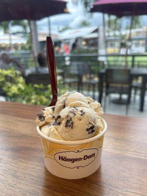 Häagen-Dazs
