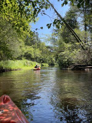 Mick's Pine Barren Canoe & Kayak Rental
