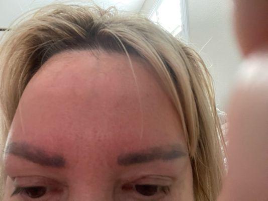 Redlands Blade & Lash