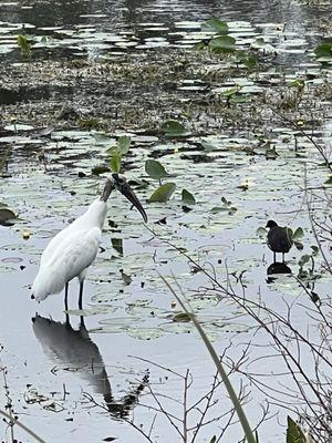 Friends in the park!
