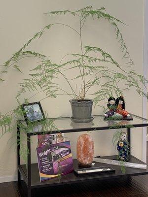 Dr Huynh and Dr Chan"s office is welcoming peaceful and they have relaxing beautiful music playing in the background .