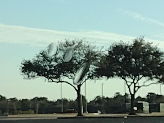 Kool Shades Window Tint