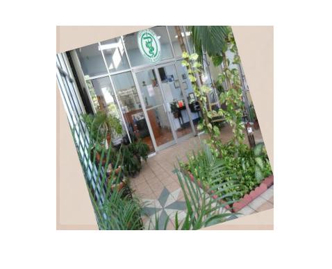 Animal Hospital in Miami, FL