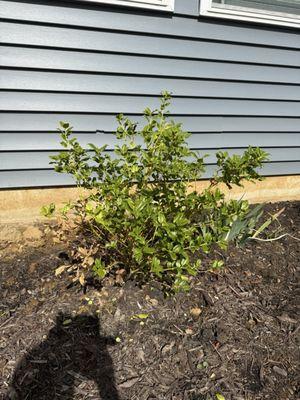 Baxter Farms & Nurseries