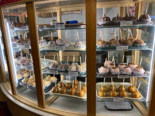 Rocky Mountain Chocolate Factory