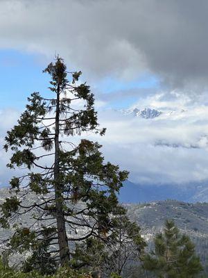 Hume Lake Christian Camps