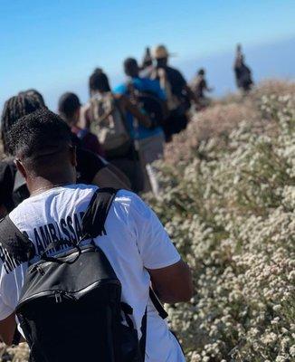 Optimum Wellness Therapy