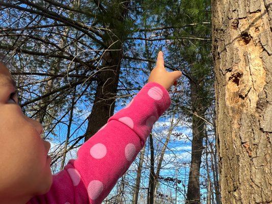 King Montessori Academy