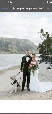 Designer Alterations