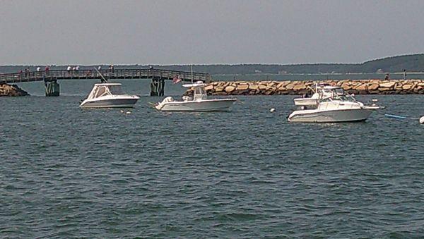 Pilgrim Belle Cruises