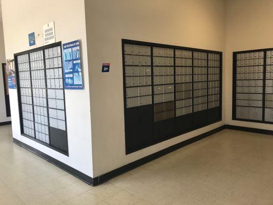 United States Government