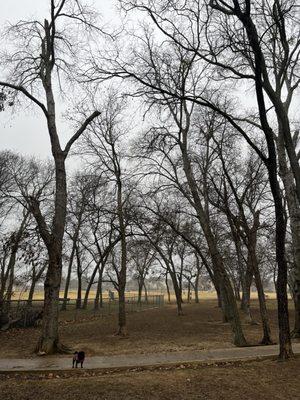 Freedom Dog Park
