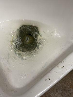 This is the urinal in the men's restroom. This is what it looks like after a clean flush. Plus the public hair, gross.