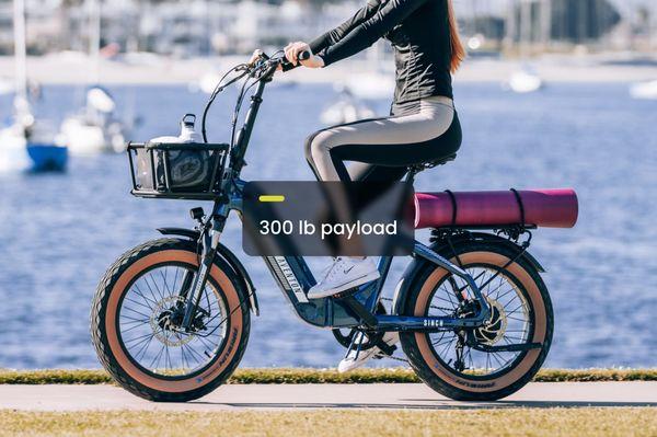 EBike Connections - Loudoun and Fairfax County, VA Electric Bike Rentals in Leesburg and Reston-Herndon, VA.. Ebike with 300 lb payload.