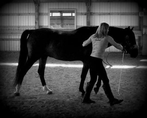 Snapdragon Farm and Stables