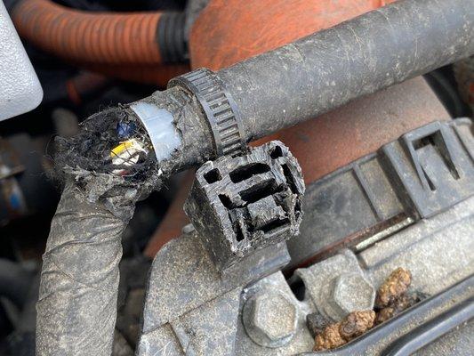 Continental Toyota - Service