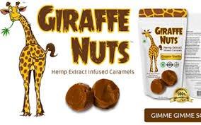 Treatment Herbs - Waldo Wellness Cafe