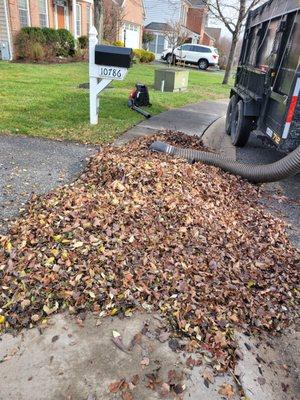 Granados landscaping services