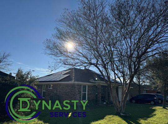 Dynasty Services