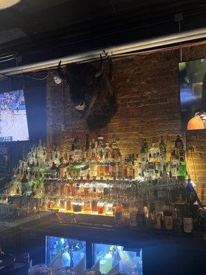 Buffalo Nickel by Cibolo Creek