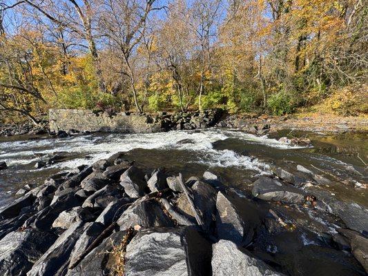 Brandywine Creek State Park