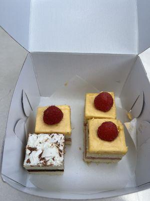 Michele Coulon Dessertier