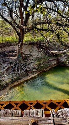 Rowlett Creek Bridge