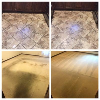 Oxi Fresh Carpet Cleaning