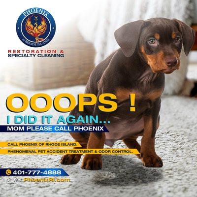 Phoenix of Rhode Island