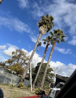 Best Quality Lawn & Gardening Services