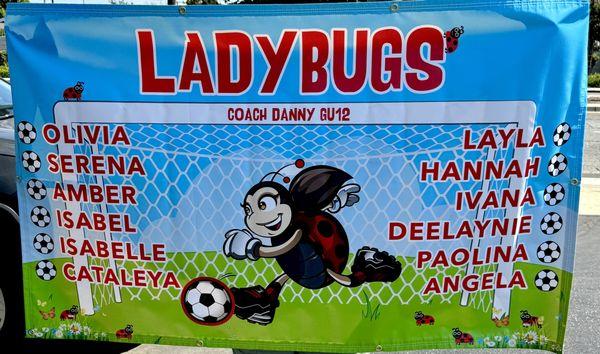 Custom soccer banner 5 x 3 for the Ladybugs!