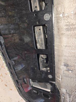 Loyal Signature Motors