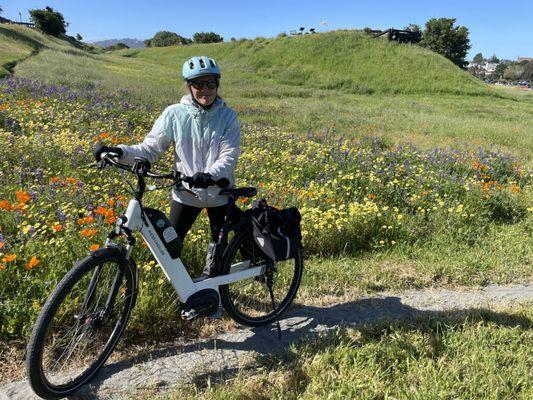 The New Wheel Electric Bikes