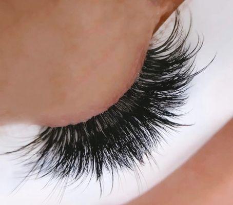 lash extensions