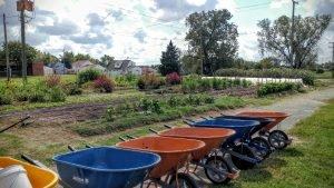 * Taken from Henrico County Website *