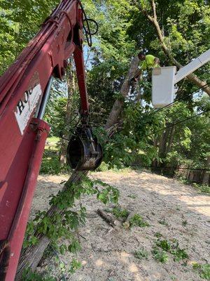 Maki Tree Service