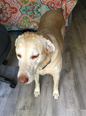 Ocean Isle Veterinary Hospital