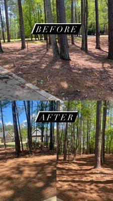 Greenleaf Yard Services