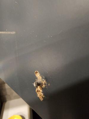 FixTman - San Antonio