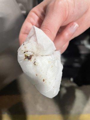 Wiping our car rental car clean when we first got it....