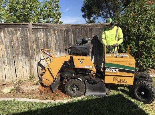 Christian's Landscape