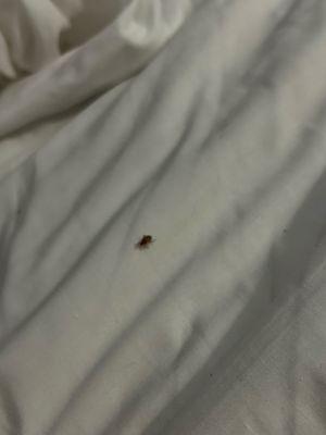 MainStay Suites Moreno Valley Near March Air Reserve Base