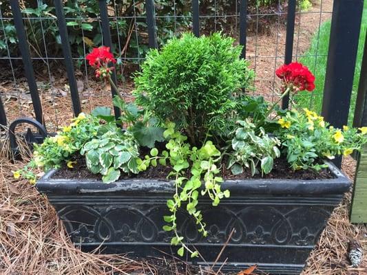 Pots & Petals Designs