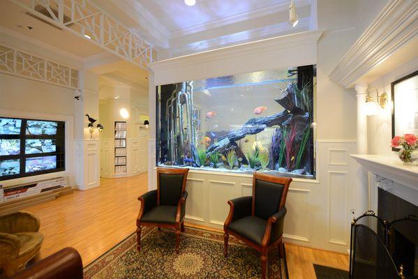 The Fish Gallery
