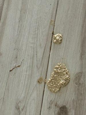 Chasewood Animal Hospital