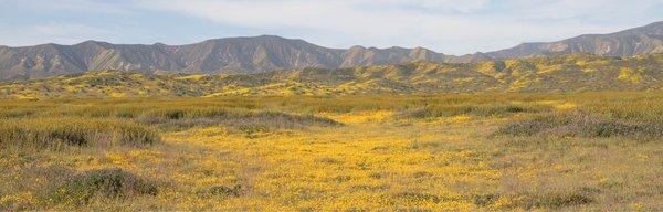 Carrizo Plain National Monument Painted Rock Guided Tour