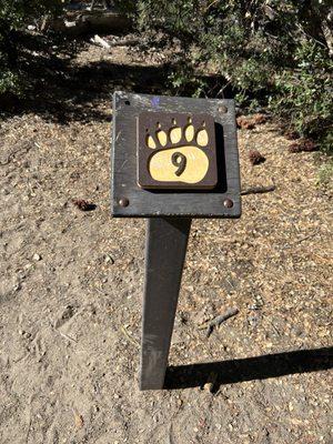 Big Bear Lake Woodland Trail