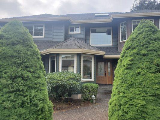 Couch Painting & Home Improvement