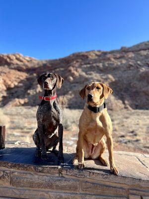 Lakota Creek Kennels